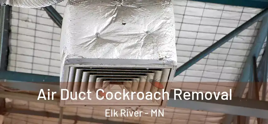  Air Duct Cockroach Removal Elk River - MN