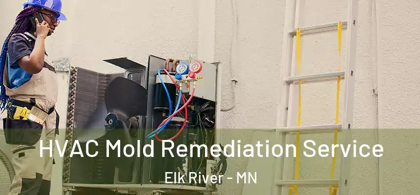 HVAC Mold Remediation Service Elk River - MN