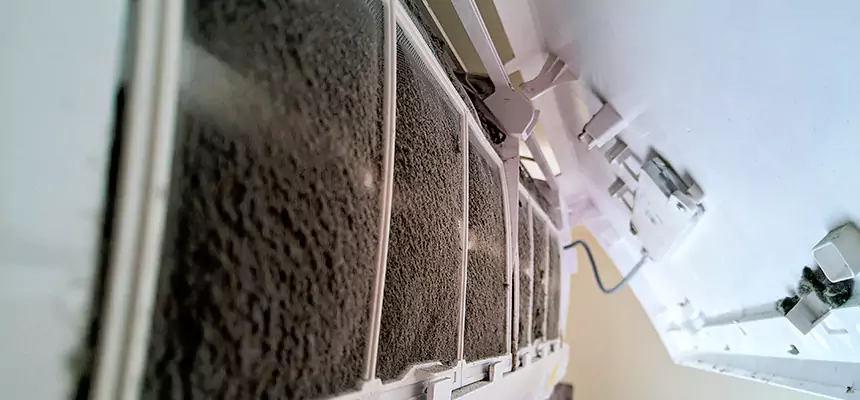 Preventive Air Duct Bacteria Removal in Elk River