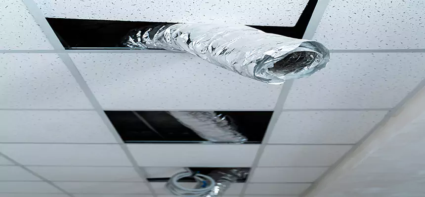 Affordable HVAC Sanitizing After Pest Removal in Elk River