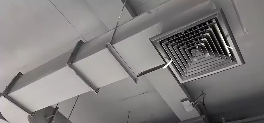 Restorative Allergy Relief Vent Cleaning – Coil, Blower & Housing Detail in Elk River