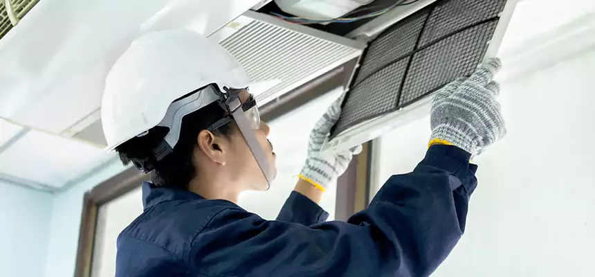 Our Mold & Mildew Removal from Air Ducts Services in Elk River, MN