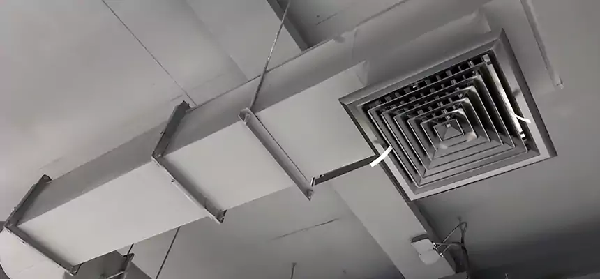 Our Pest Removal From Ducts Services in Elk River, MN