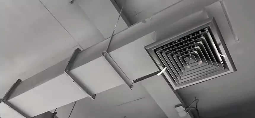 Our Rodent Droppings In Vents Services in Elk River, MN