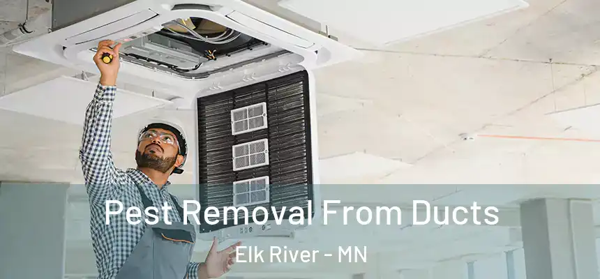 Pest Removal From Ducts Elk River - MN