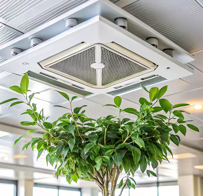 Why Homeowners & Businesses Trust Us in Elk River, MN?